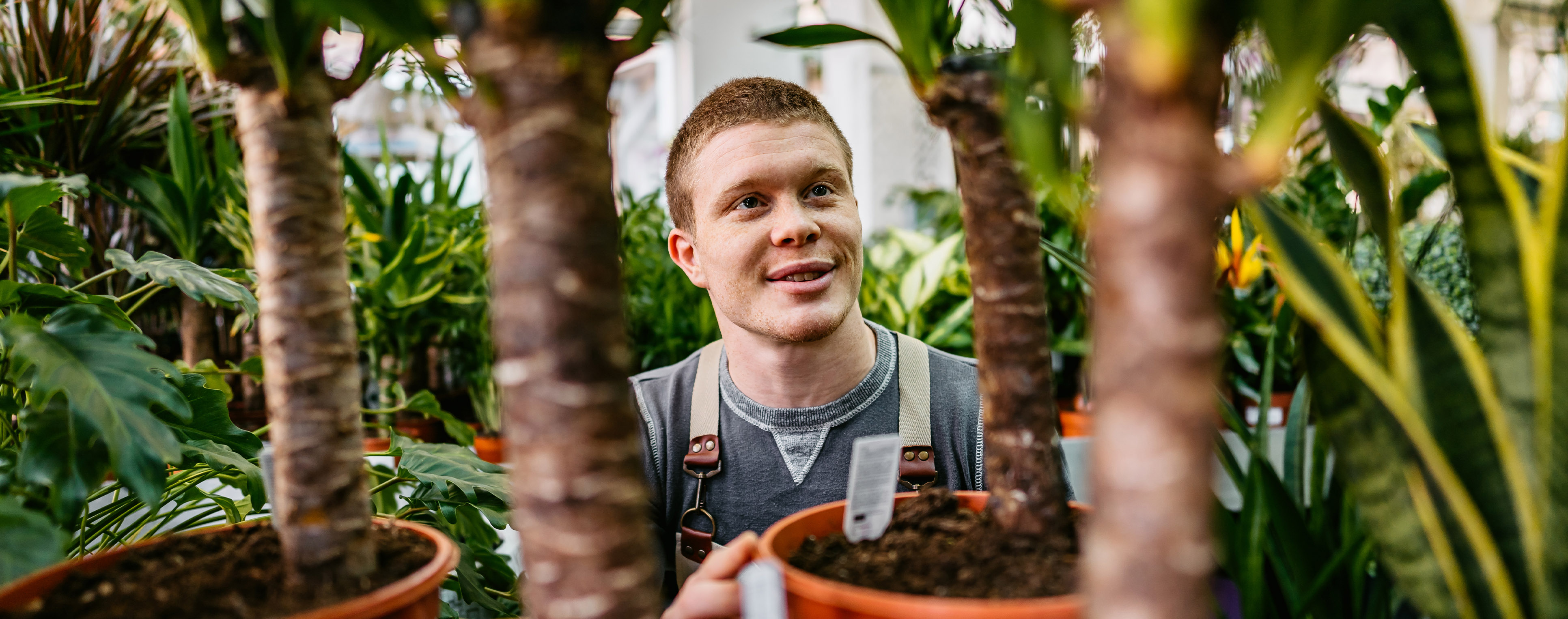 Pot Plants Employee